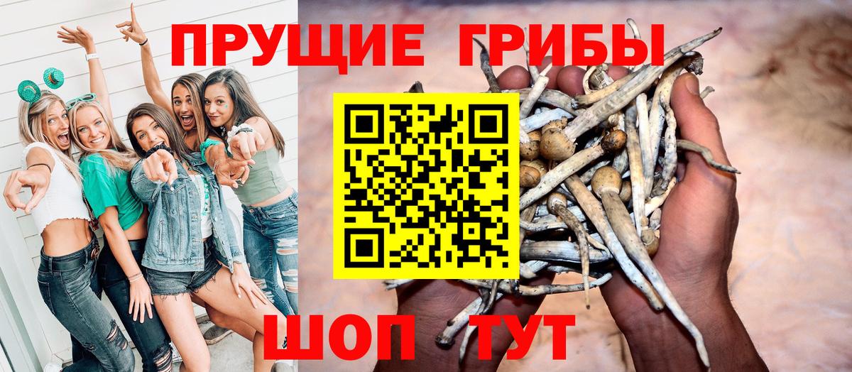 Галлюциногенные грибы Psilocybine cubensis Озёры